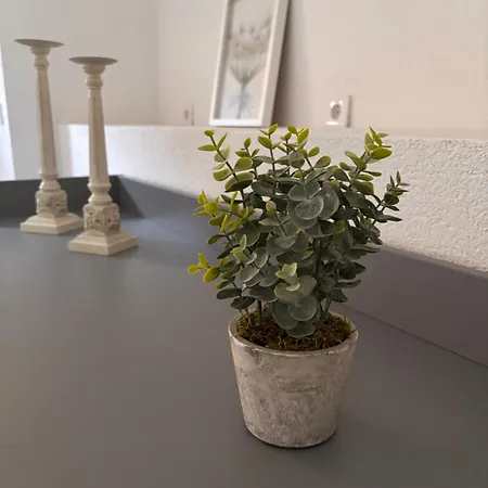 Annmelie Apartment Spremberg